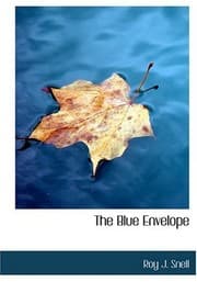 Tapa de The Blue Envelope (Large Print Edition)