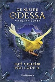 Tapa de Het geheim van Lode A. (De kleine Odessa) (Dutch Edition)