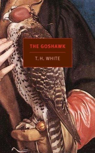 Tapa de The Goshawk