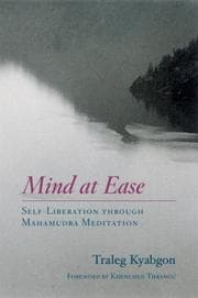 Tapa de Mind at Ease