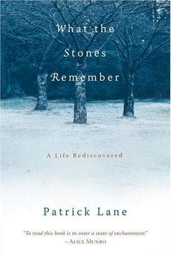 Tapa de What the stones remember