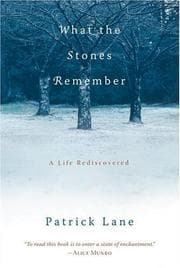 Tapa de What the stones remember