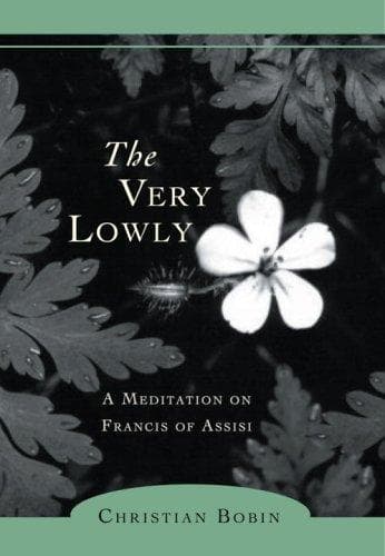 Tapa de The very lowly