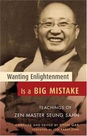 Tapa de Wanting Enlightenment Is a Big Mistake