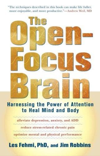 Tapa de The open-focus brain