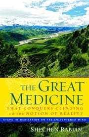 Tapa de The Great Medicine That Conquers Clinging to the Notion of Reality