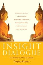 Tapa de Insight Dialogue
