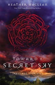 Tapa de Toward a Secret Sky (Blink)