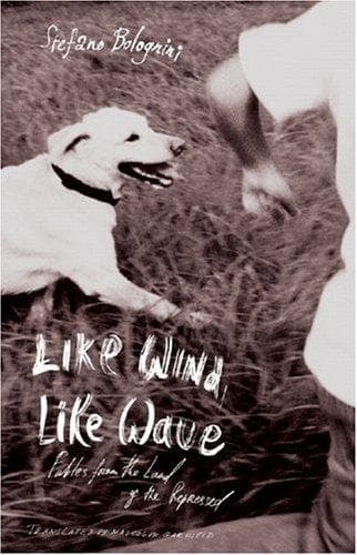 Tapa de Like Wind, Like Wave