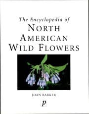 Tapa de The encyclopeida of North American wild flowers