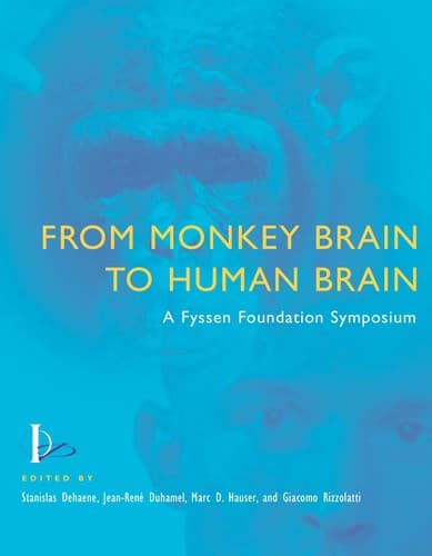 Tapa de From monkey brain to human brain