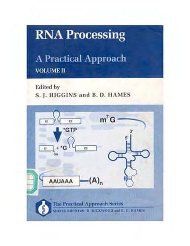 Tapa de RNA processing