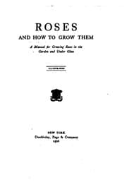 Tapa de Roses, and how to grow them