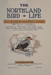 Tapa de The Northland bird life