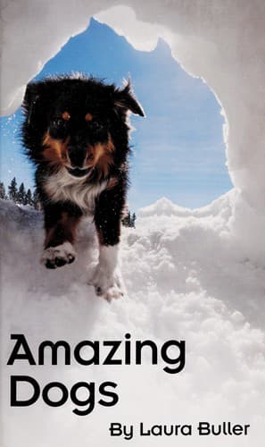 Tapa de Amazing dogs