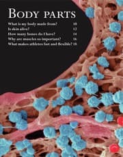 Tapa de Human body