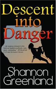 Tapa de Descent into Danger