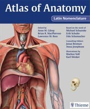 Tapa de Atlas of anatomy