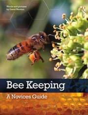 Tapa de Bee keeping