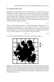 Tapa de Biophysical Chemistry of Fractal Structures and Processes in Environmental Systems
