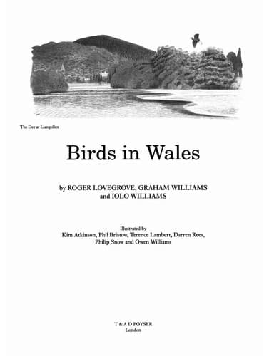 Tapa de Birds in Wales