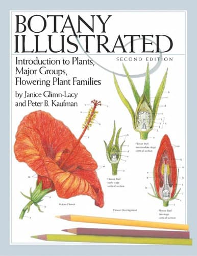 Tapa de Botany illustrated