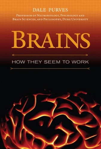 Tapa de Brains