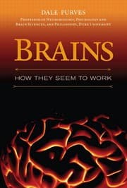 Tapa de Brains