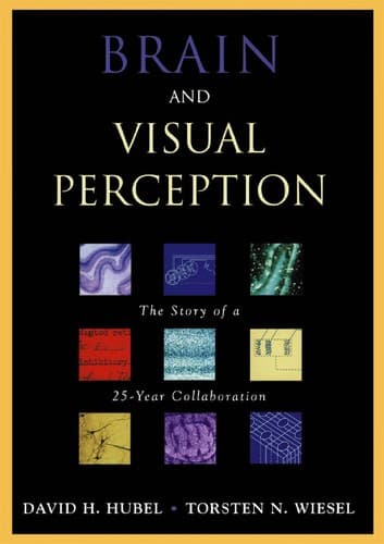 Tapa de Brain and visual perception