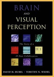 Tapa de Brain and visual perception