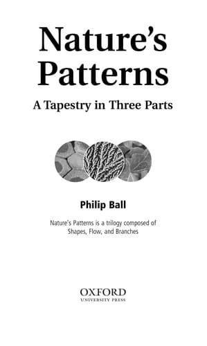 Tapa de Branches: Nature's patterns
