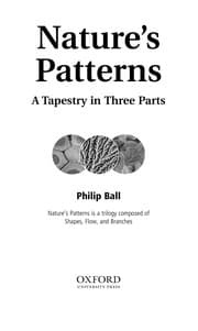 Tapa de Branches: Nature's patterns