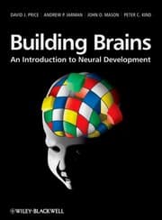 Tapa de Building brains