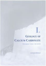 Tapa de Calcium Carbonate