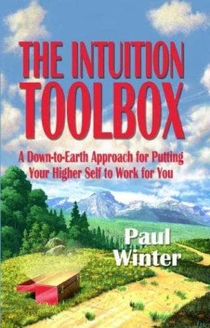 Tapa de The Intuition Toolbox