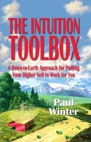 Tapa de The Intuition Toolbox