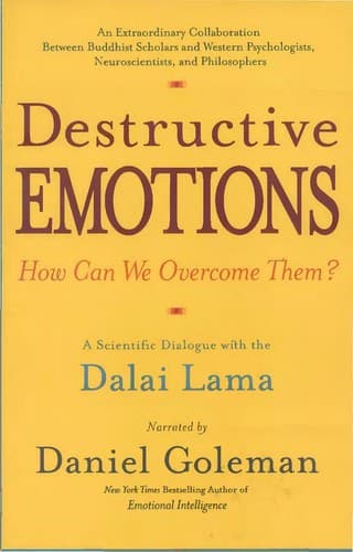 Tapa de Destructive emotions