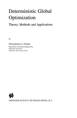 Tapa de Deterministic Global Optimization