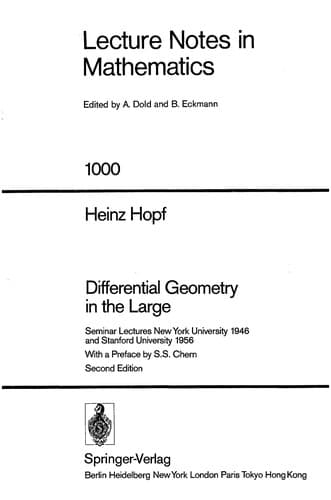 Tapa de Differential geometry in the large