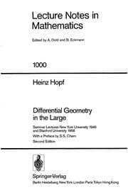 Tapa de Differential geometry in the large