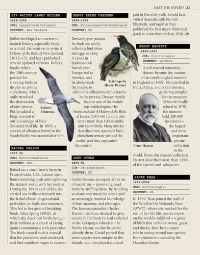 Tapa de Bird