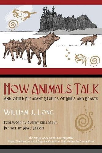 Tapa de How Animals Talk