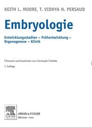 Tapa de Embryologie