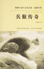 Tapa de Bing hou chuan qi