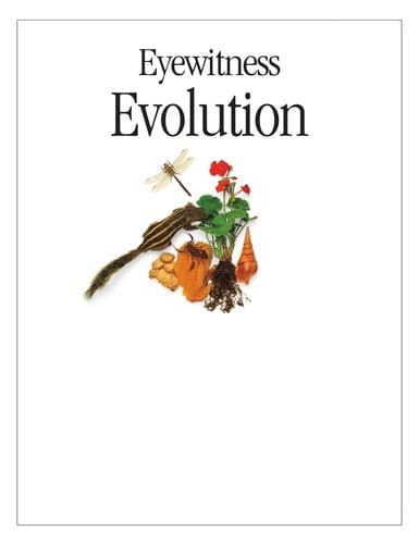 Tapa de Evolution