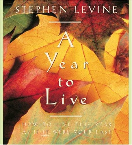 Tapa de A Year to Live