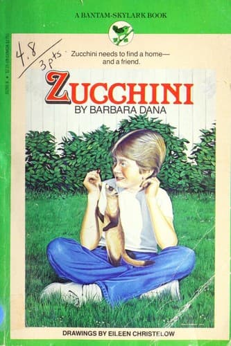 Tapa de Zucchini