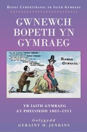 Tapa de 'Gwnewch bopeth yn Gymraeg'