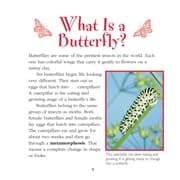 Tapa de How do caterpillars become butterflies?