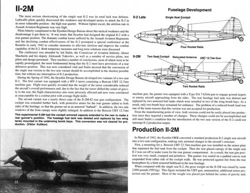 Tapa de Il-2 Stormovik in action
